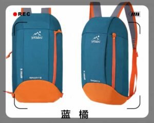 lisure backpack