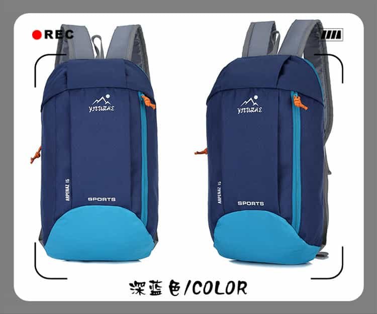 lisure backpack