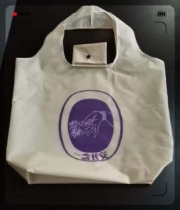 Recycled waterproof eco-friendly shopping bag portable and foldable shopping bag-storage for buying items-pouch-large capacity cloth bag 12 foldable bag