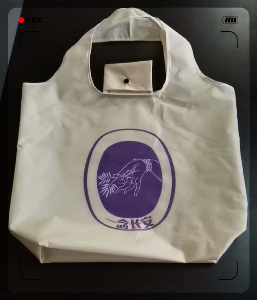 Recycled waterproof eco-friendly shopping bag portable and foldable shopping bag-storage for buying items-pouch-large capacity cloth bag 4 foldable bag