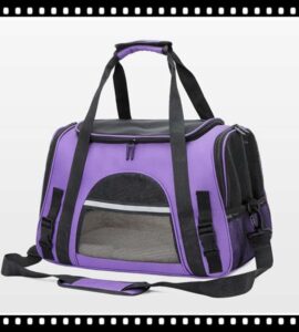 sac pour animaux de compagnie