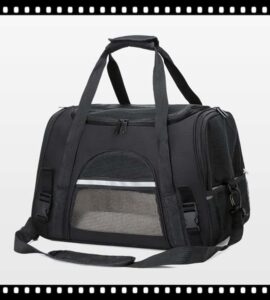 sac pour animaux de compagnie
