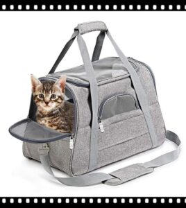 sac pour animaux de compagnie