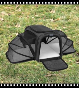 FP-009 Lub Hnab Tsiaj Uas Nthuav Tau Thiab Ua Pa Tau Yooj Yim Nqa Tau 13 hnab tsiaj