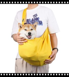 гэрийн тэжээмэл цүнх