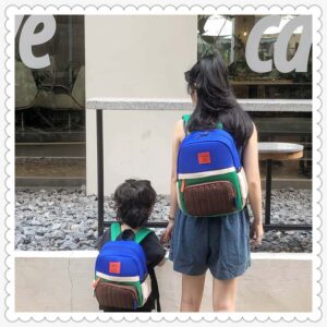 ludo lapides sacculi