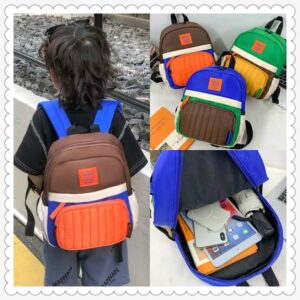 ludo lapides sacculi