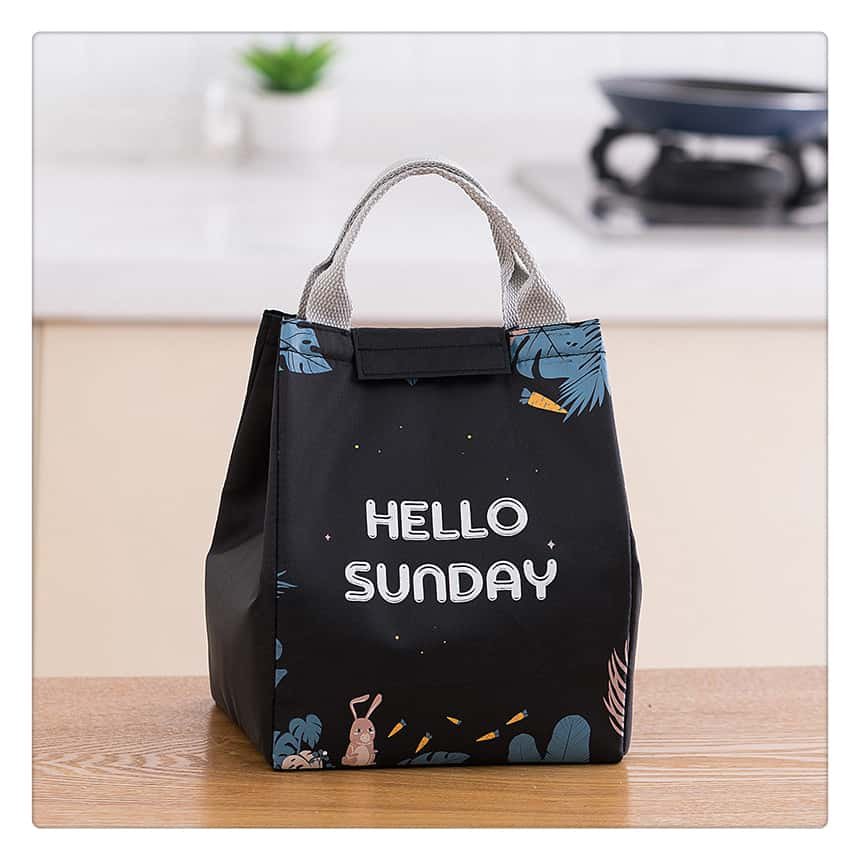 cooler&lunch bag-21